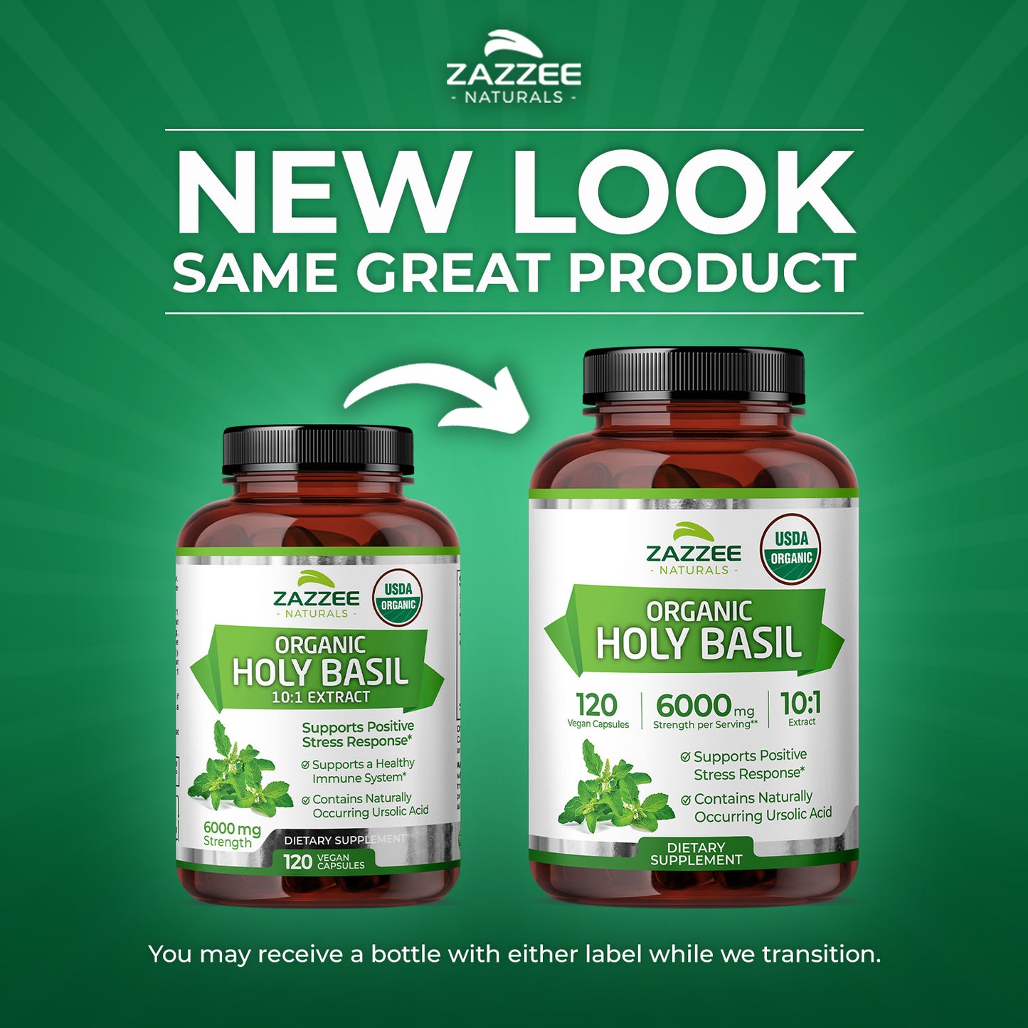 Organic Holy Basil
