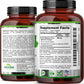 French Maritime Pine Bark Extract