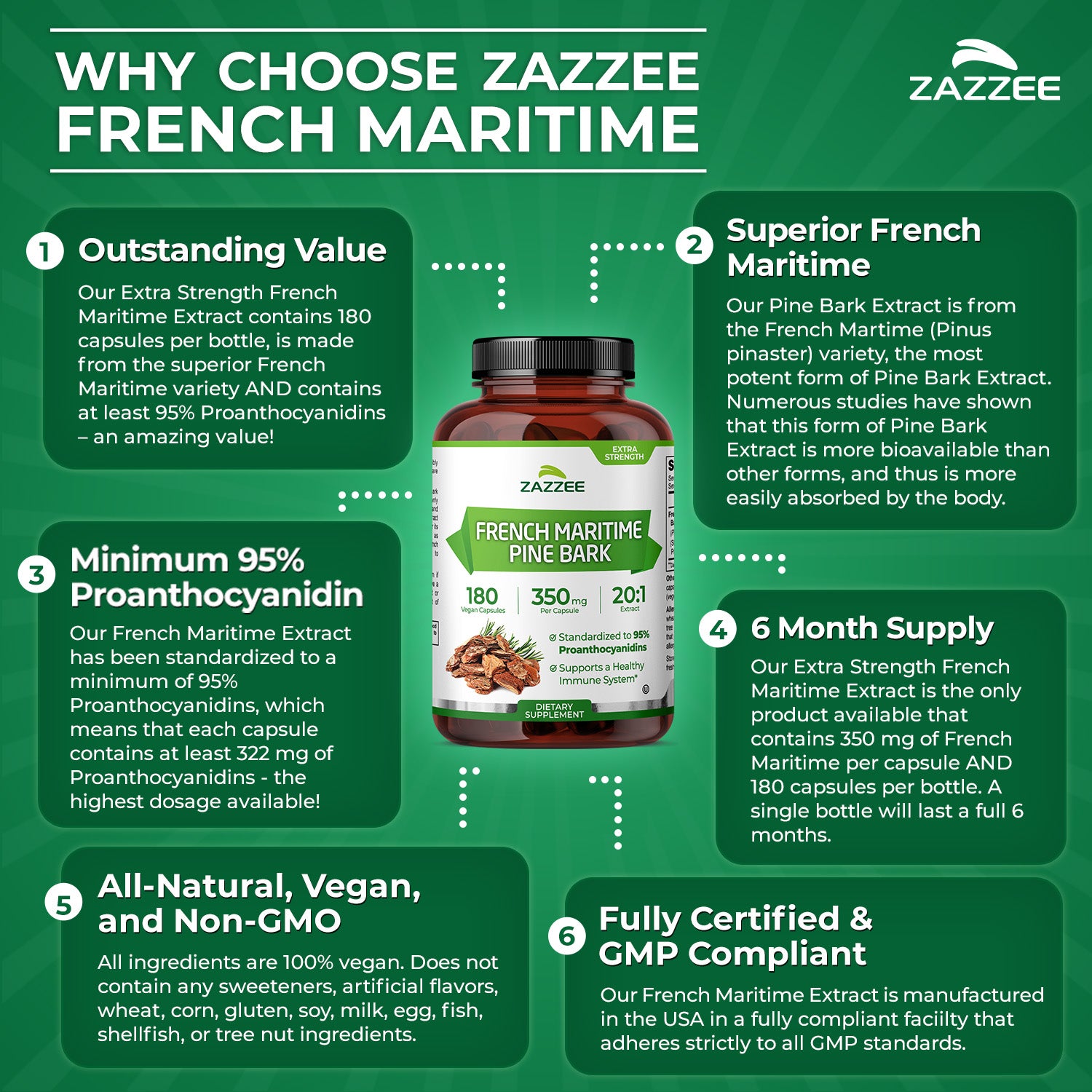French Maritime Pine Bark Extract – Zazzee Naturals