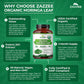 Organic Moringa Extract