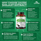 Shilajit Extract