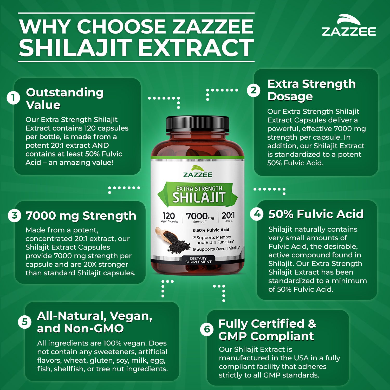 Shilajit Extract – Zazzee Naturals