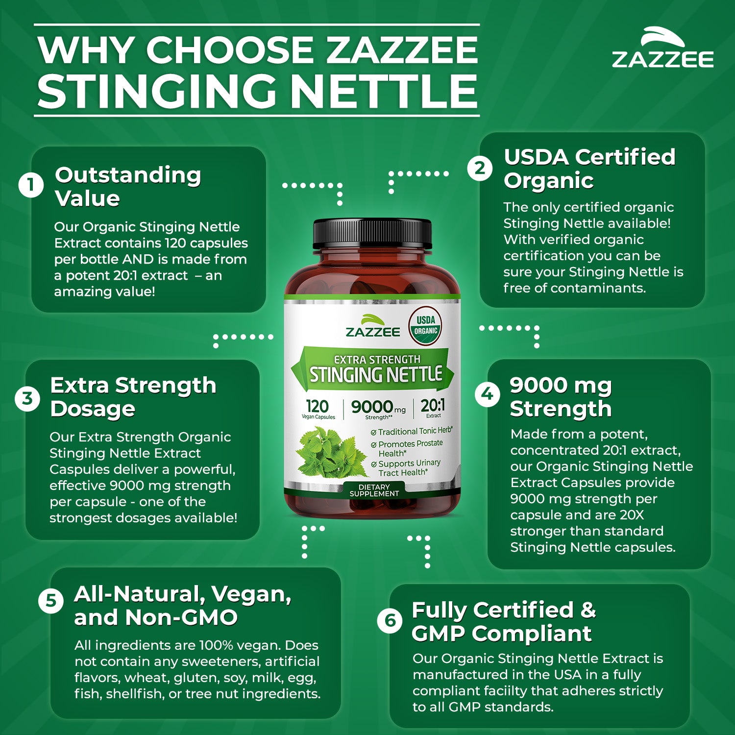 Organic Stinging Nettle – Zazzee Naturals