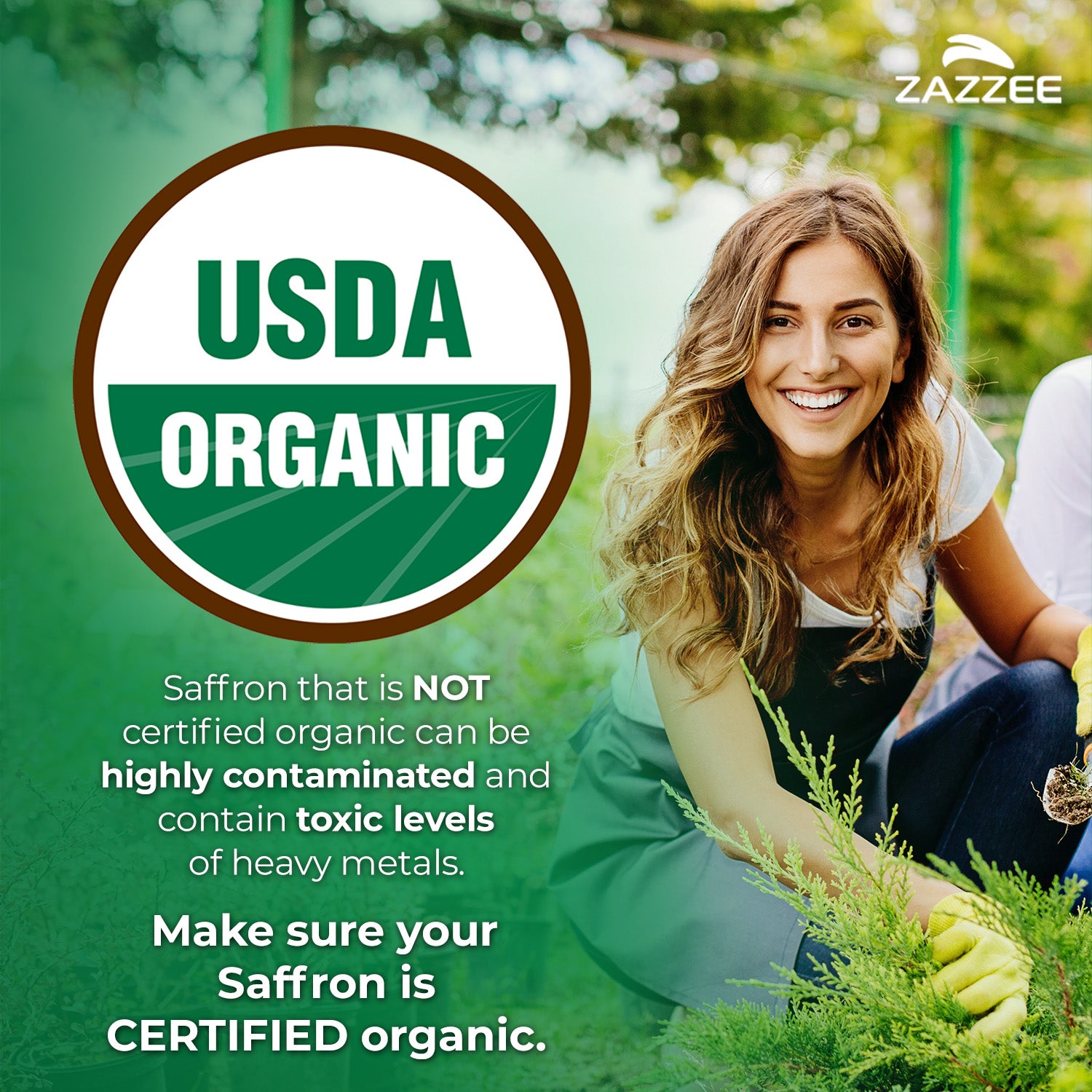 Organic Saffron Extract – Zazzee Naturals
